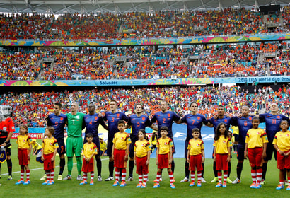 Het Nederlands elftal op het WK 2014