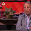 Chris Woerts