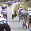 Overstekende berggeit zorgt voor problemen in Giro d’Italia