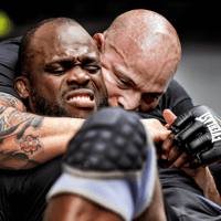 Melvin Manhoef in actie