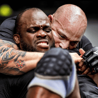 Melvin Manhoef in actie