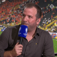 Rafael van der Vaart, analist van de NOS