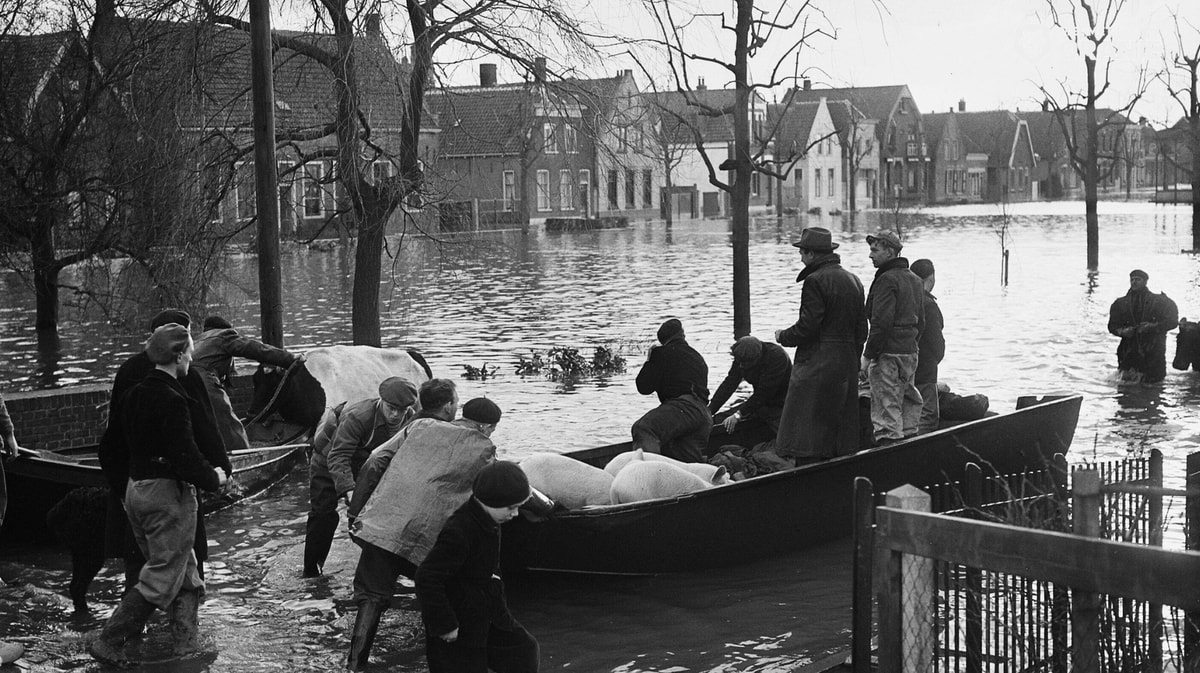 De Watersnoodwedstrijd van 1953 veranderde het Nederlandse voetbal voorgoed.