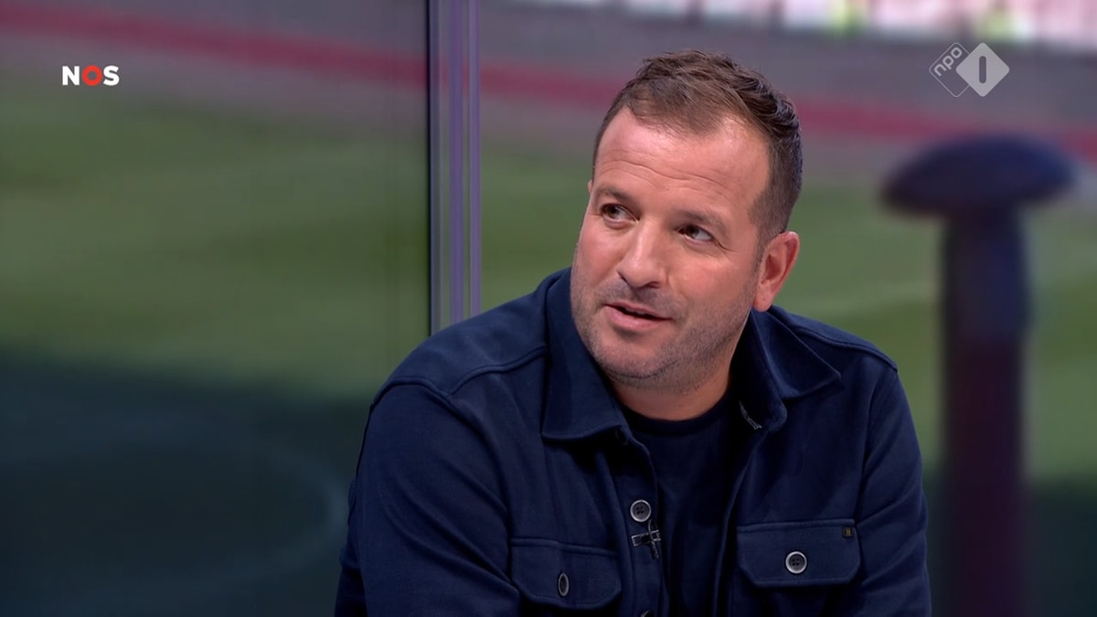 Rafael van der Vaart, analist van de NOS