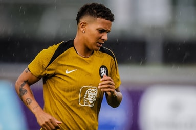 Shanice van de Sanden