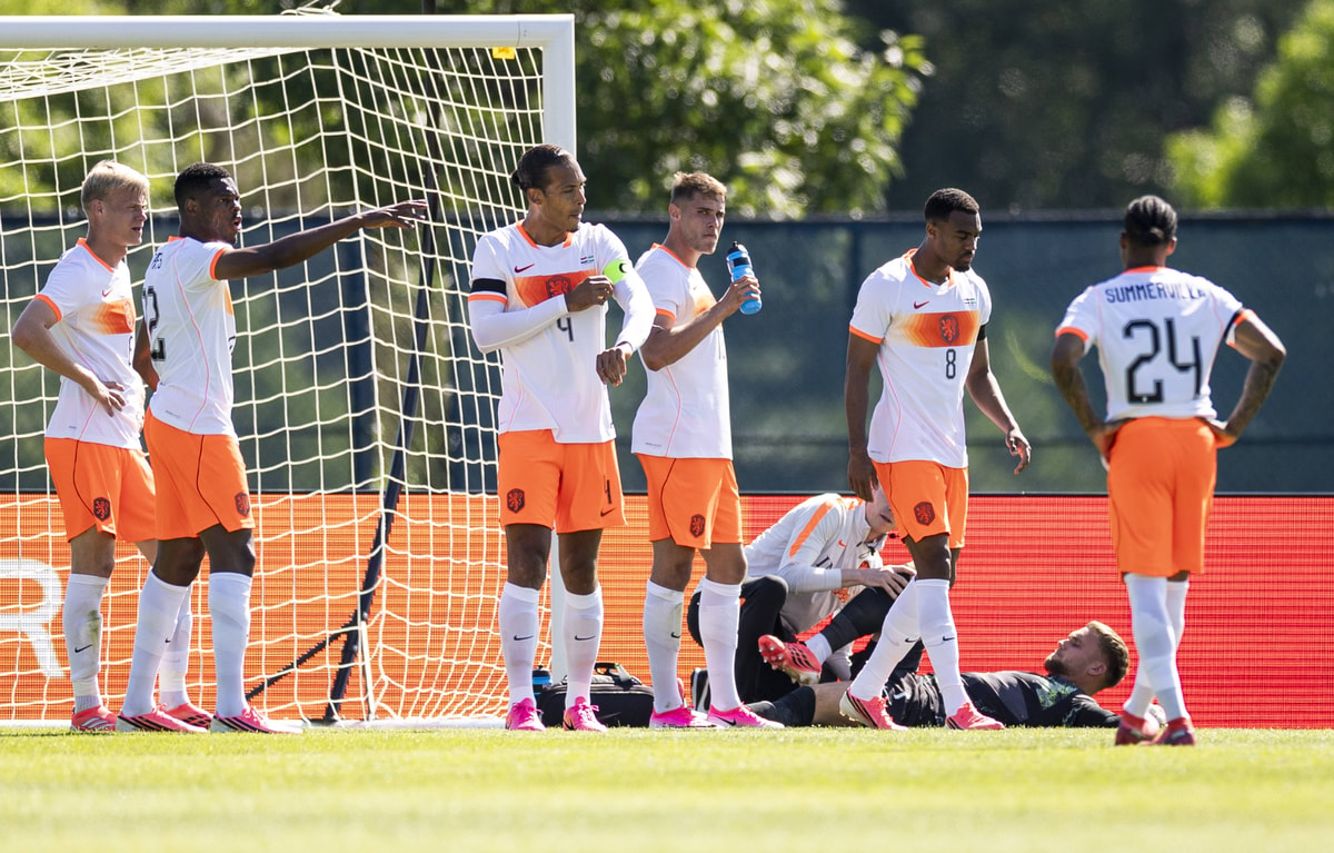 Het Nederlands elftal