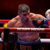 Rico Verhoeven in gevecht met Oleksandr Usyk