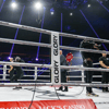 Glory in Ahoy Rotterdam