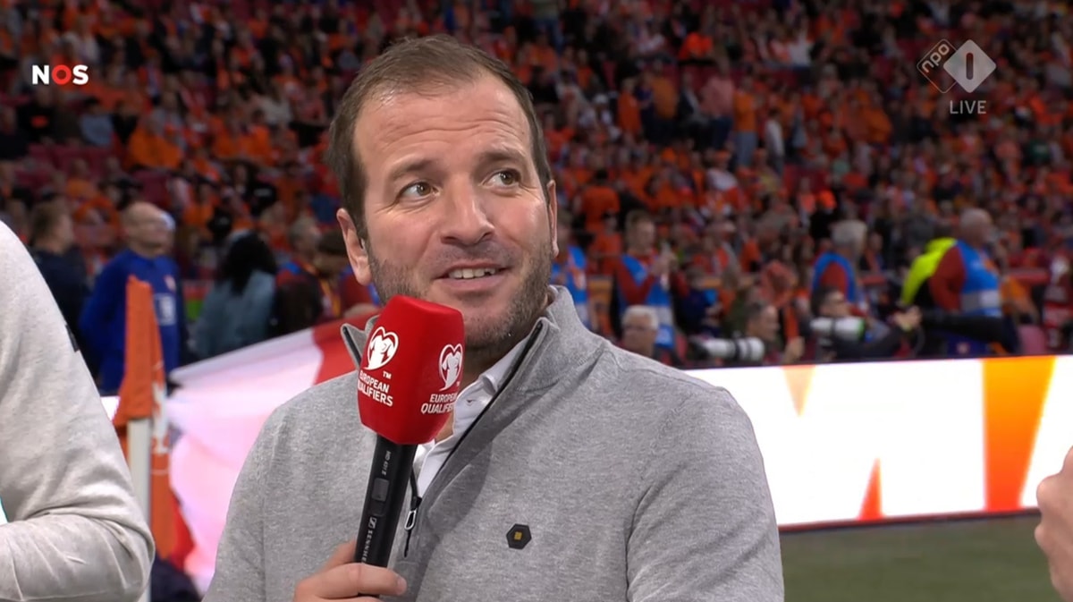 Rafael van der Vaart, analist van de NOS