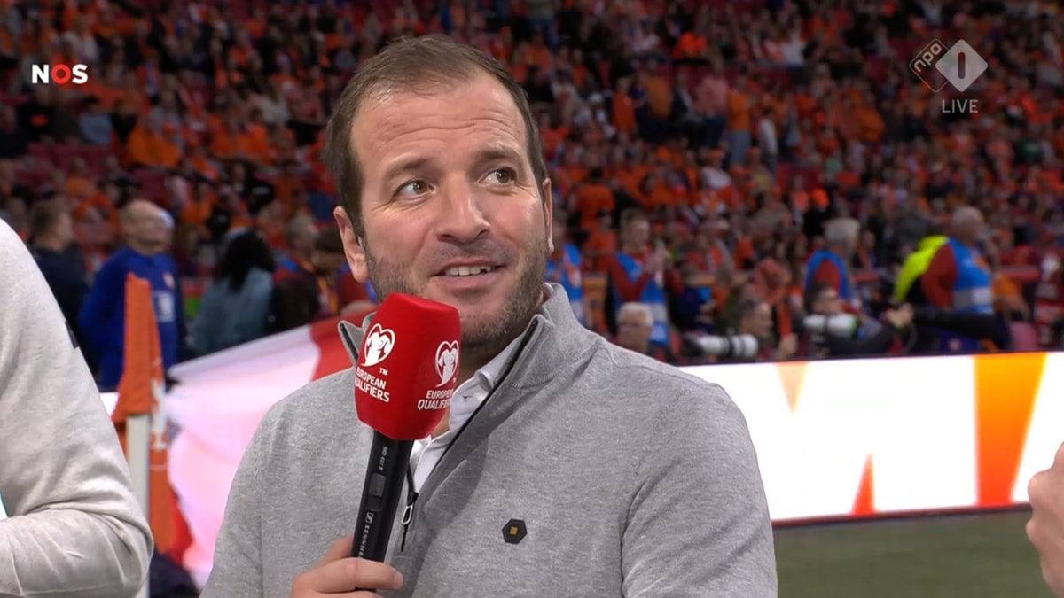 Rafael van der Vaart, analist van de NOS