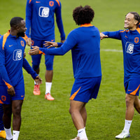 Het Nederlands elftal tijdens het EK