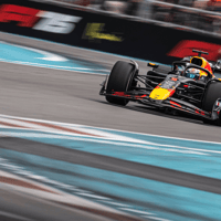 Max Verstappen in actie