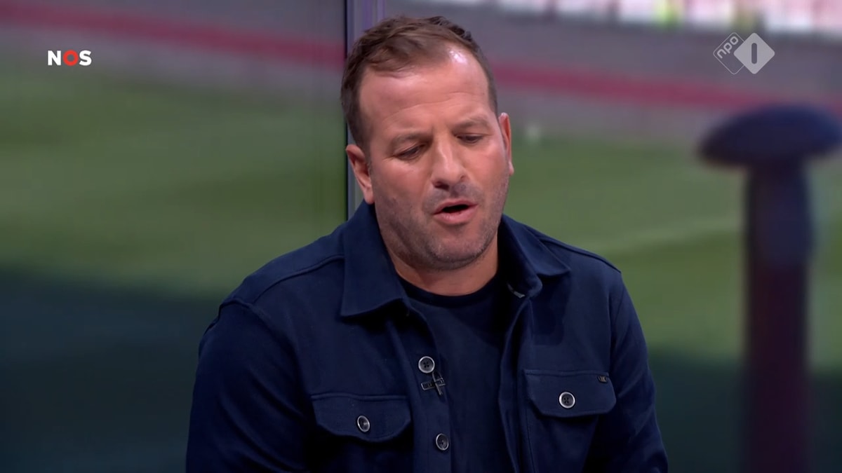 Rafael van der Vaart, analist van de NOS