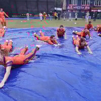 Nederlandse cricketsters schrijven historie en plaatsen zich voor WK