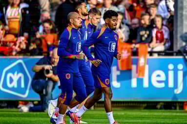 Nederlandse stempel op Villa-herstel: Maatsen en Malen schieten kater weg