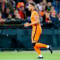 Arnaut Danjuma