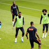 Het Nederlands elftal