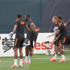 Het Nederlands elftal op de training daags voor Tunesië - Nederland.