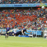 Nederland - Spanje, Robin van Persie, Vliegende Hollander, kopdoelpunt, Oranje, Nederlands elftal